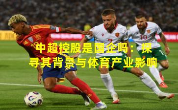 中超控股是国企吗：探寻其背景与体育产业影响