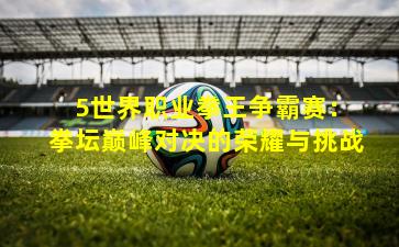 5世界职业拳王争霸赛:拳坛巅峰对决的荣耀与挑战